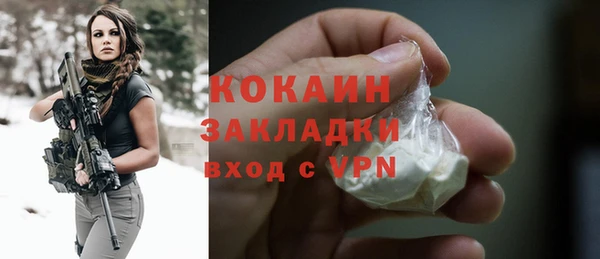 сатива Осинники
