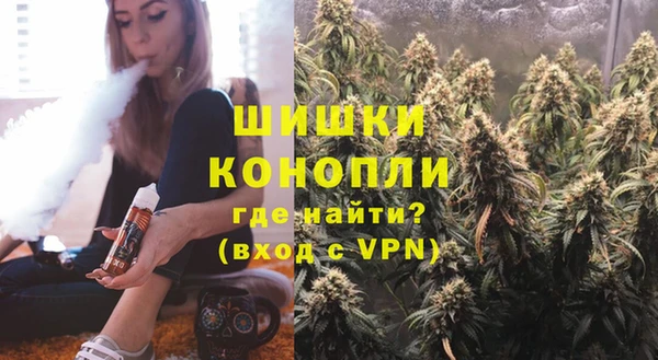 сатива Осинники