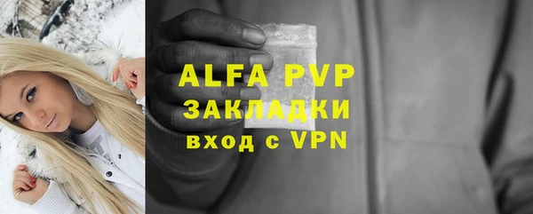 сатива Осинники