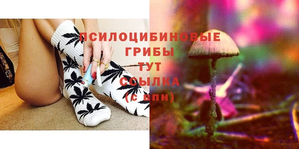кристаллы Няндома