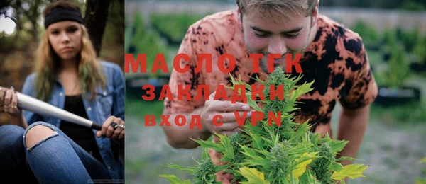 сатива Осинники